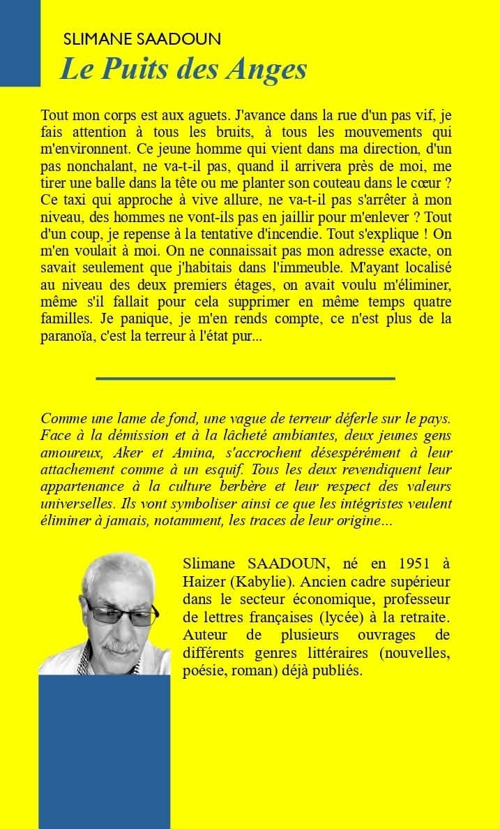 Quatrième de couverture de la réédition du Puits des anges